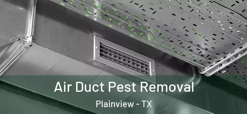 Air Duct Pest Removal Plainview - TX