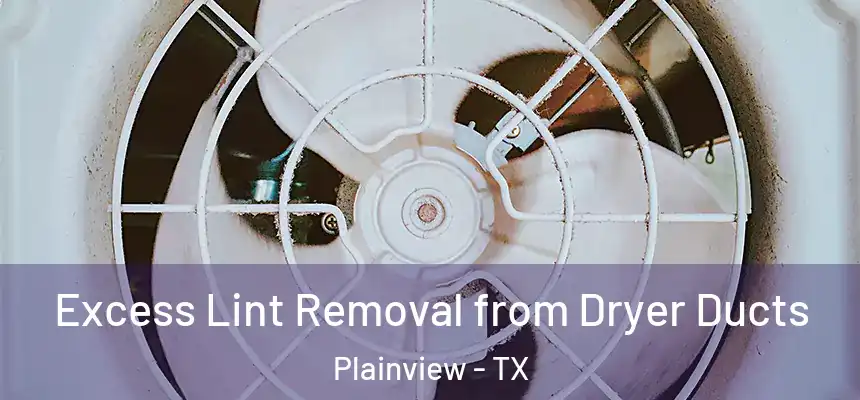 Excess Lint Removal from Dryer Ducts Plainview - TX