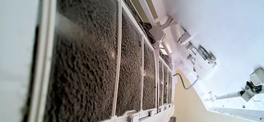 Preventive Air Duct Bacteria Removal in Plainview