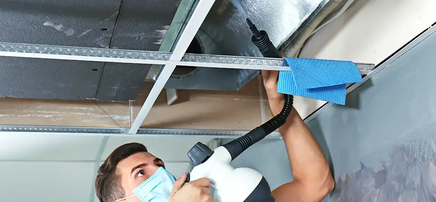 Our Air Duct Rodent Removal Services in Plainview, TX