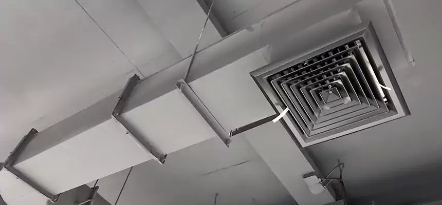 Our Pest Removal From Ducts Services in Plainview, TX