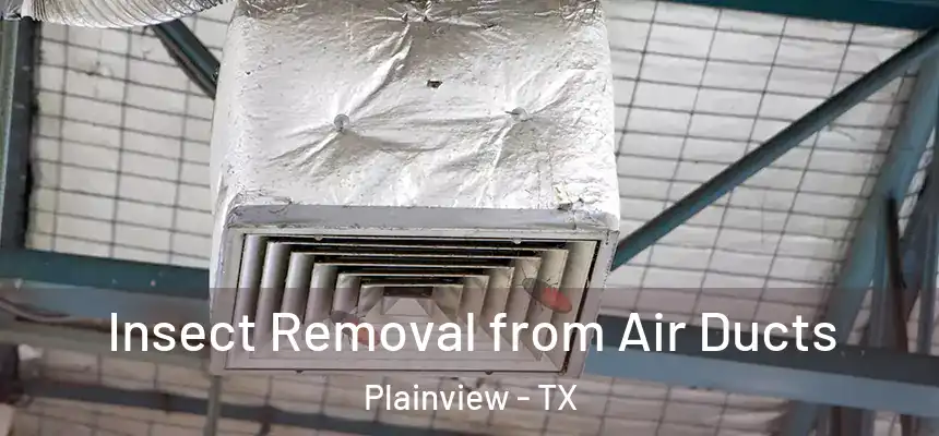  Insect Removal from Air Ducts Plainview - TX