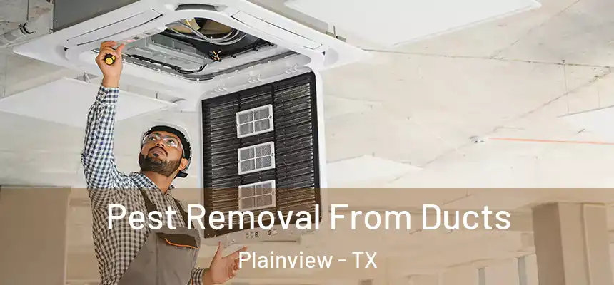  Pest Removal From Ducts Plainview - TX