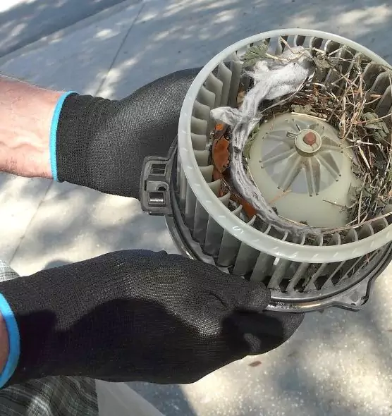 About Air Duct Mice Removal in Plainview, TX