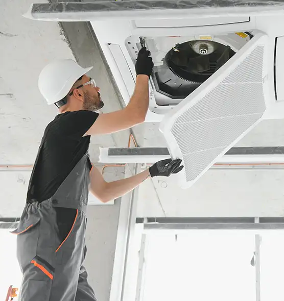 About Air Duct Rodent Removal in Plainview, TX