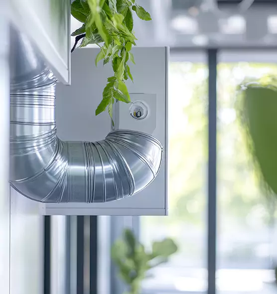 Professional Eco-Safe Dryer Vent Cleaning in Plainview, TX