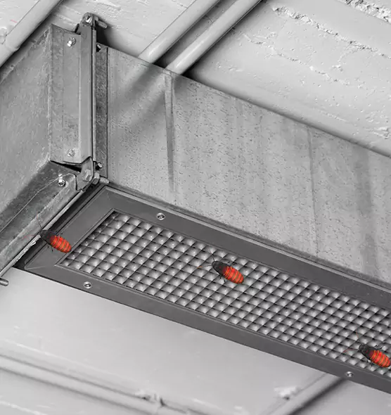 Affordable Insect Removal from Air Ducts in Plainview, TX