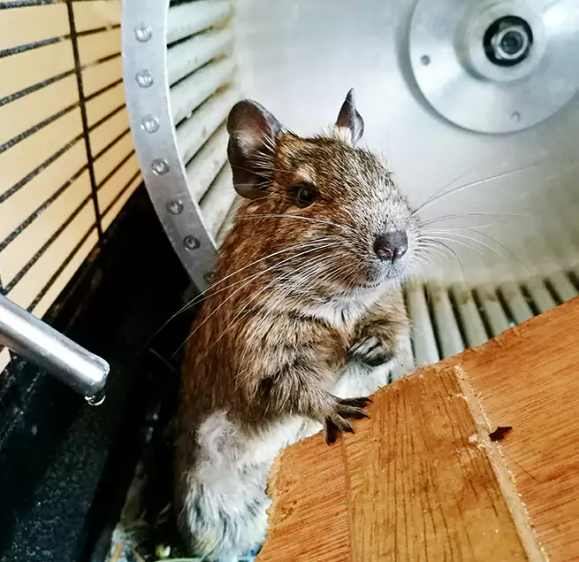 Why Homeowners & Businesses Trust Us Plainview, TX